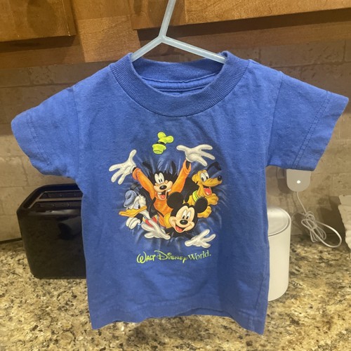 Disney world resort - disney,