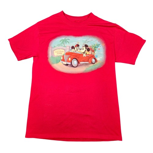 Disney vacation club - disney,